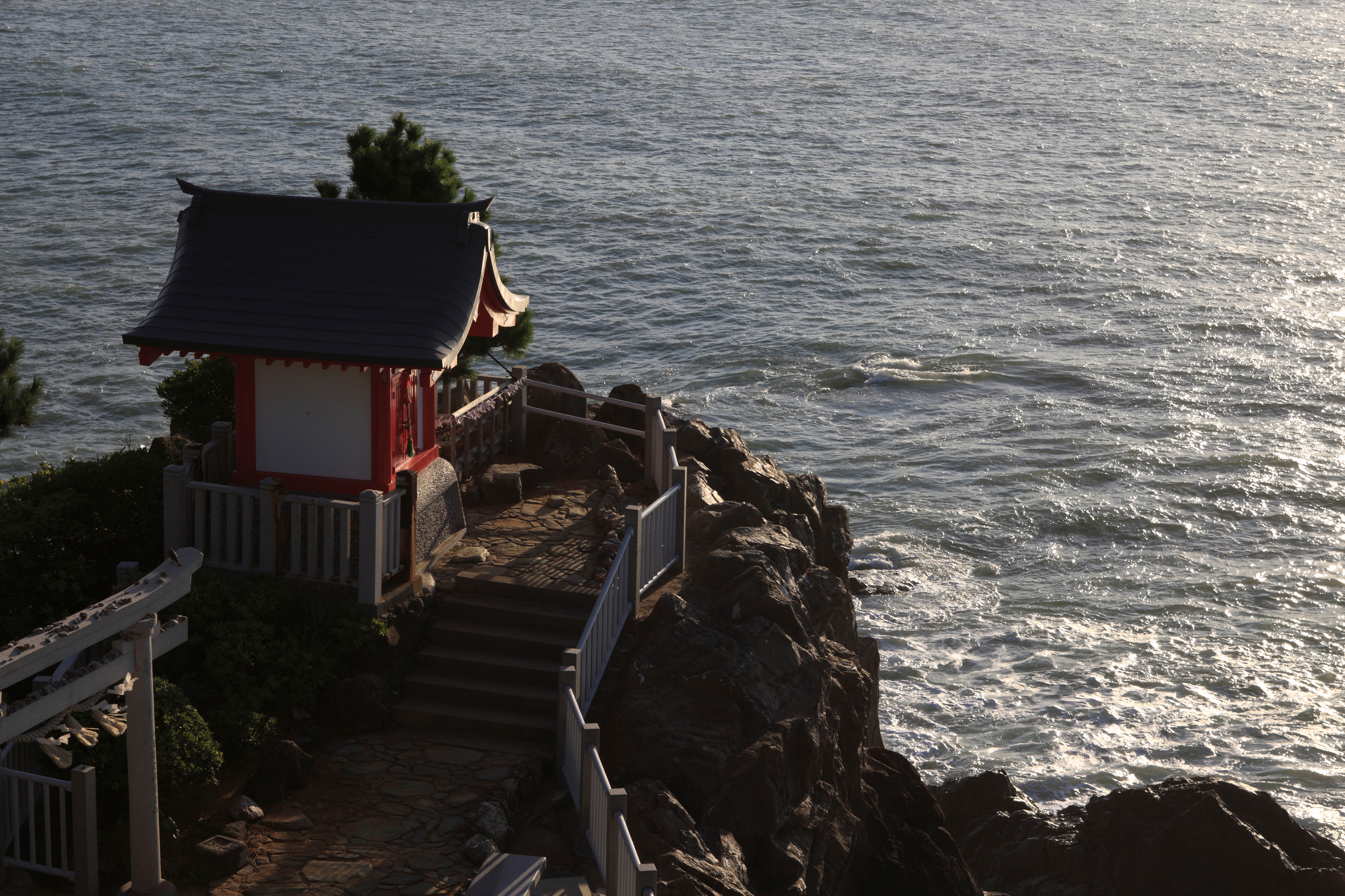 桂浜